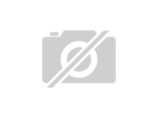 Pferdefachwirtin bietet mobilen Reitunterricht und Beritt